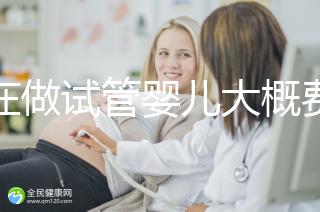 現(xiàn)在做試管嬰兒大概費(fèi)用是多少