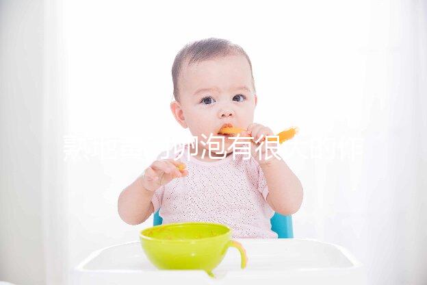 熟地黃對(duì)卵泡有很大的作用和作用能否改善性功能？