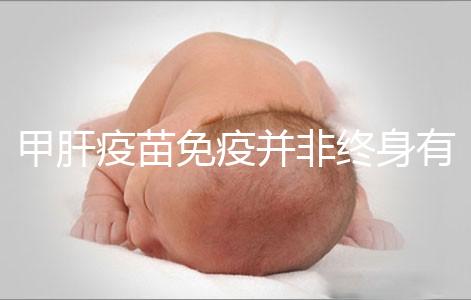 甲肝疫苗免疫并非終身有效，滅活類型抗體持續(xù)時間更久