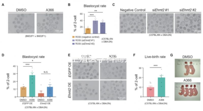 生殖醫(yī)學科簡介
