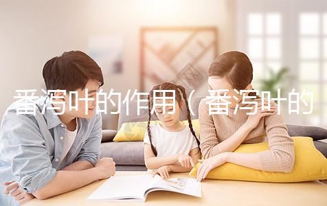 番瀉葉的作用(番瀉葉的作用和效果)