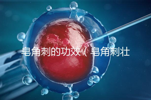 皂角刺的功效（皂角刺壯陽多強）