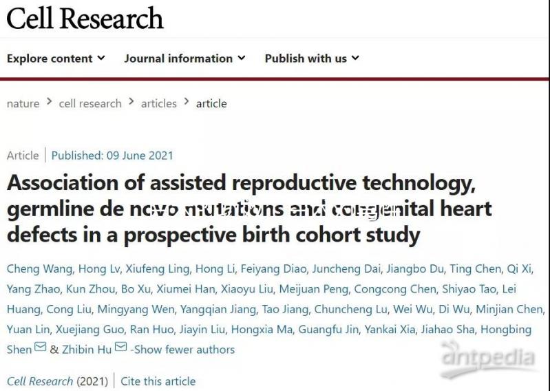 白術的功效（白術對男性性功能的效果）