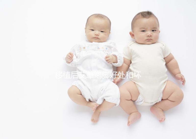 移植后艾草泡腳好處和壞處大PK，想提升試管成功率看過(guò)來(lái)