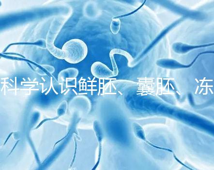 科學認識鮮胚、囊胚、凍胚的區別，同條件成功率對比