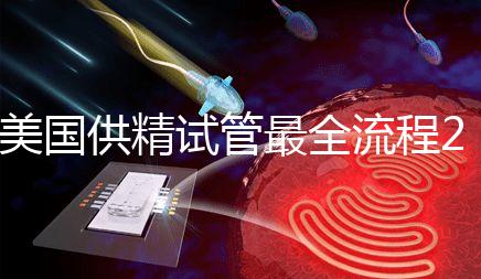 美國(guó)供精試管最全流程2024，時(shí)間長(zhǎng)短關(guān)鍵看身體情況