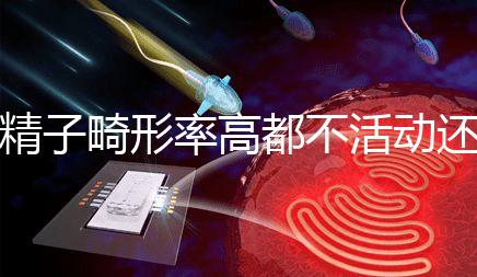 精子畸形率高都不活動還能做試管嬰兒嗎？