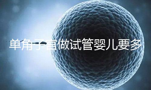 單角子宮做試管嬰兒要多少錢?移植2個至少需要這個數字