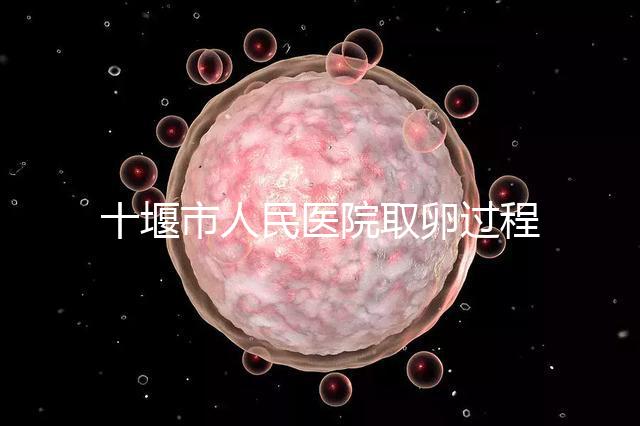 十堰市人民醫(yī)院取卵過程詳解，三種情況可全身麻醉