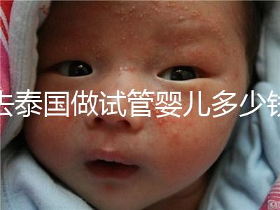 去泰國(guó)做試管嬰兒多少錢(去泰國(guó)做試管嬰兒的價(jià)格)