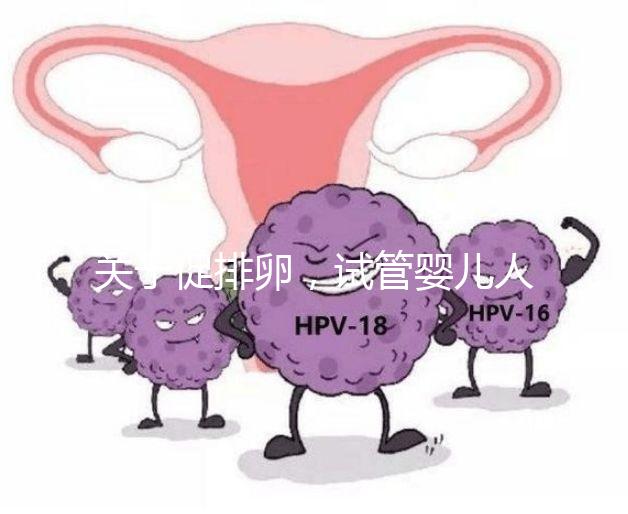 關(guān)于促排卵，試管嬰兒人群應(yīng)該知道的 6 個真相