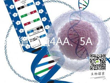 做試管移植4AA、5AA級別囊胚，寶寶出生后有什么不一樣嗎？