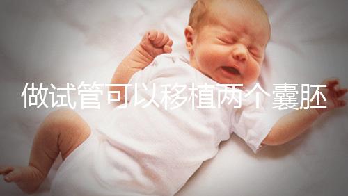 做試管可以移植兩個囊胚嗎？