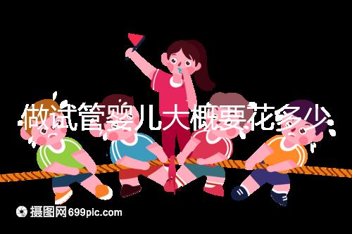 做試管嬰兒大概要花多少錢？