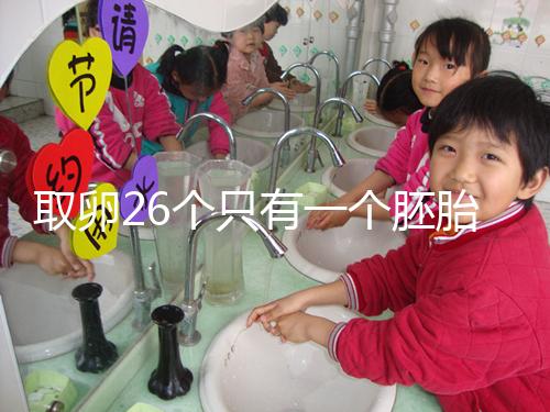 取卵26個只有一個胚胎成功率不低，次月移植凍胚易著床