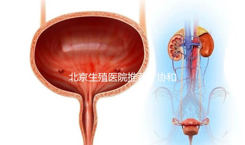 北京生殖醫院推薦！協和、北醫三院等三甲醫院介紹