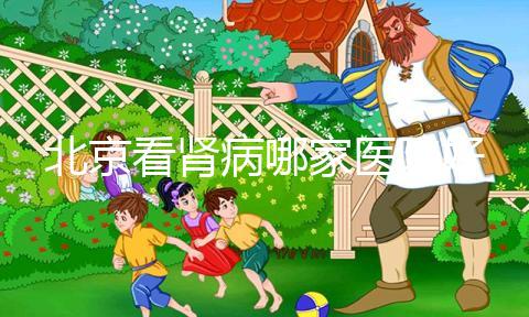 北京看腎病哪家醫院好