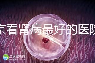 北京看腎病最好的醫院（北京腎內科最厲害三個醫生）