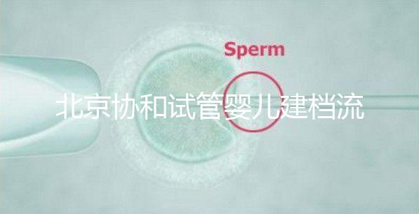 北京協(xié)和試管嬰兒建檔流程介紹，到院后掛號必不可少