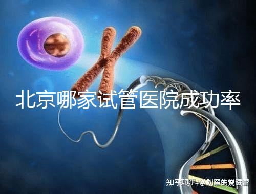 北京哪家試管醫(yī)院成功率最高？