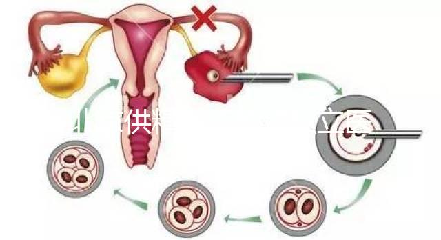北京供精人工授精私立醫院排名表來了！哪個好看就知道了？