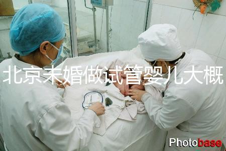 北京未婚做試管嬰兒大概多少錢？