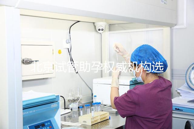北京試管助孕權(quán)威機構(gòu)選擇完全指南