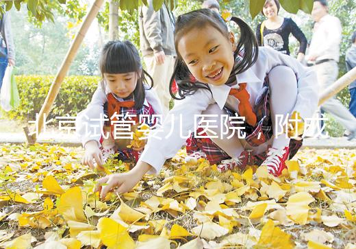 北京試管嬰兒醫院，附成功率、費用