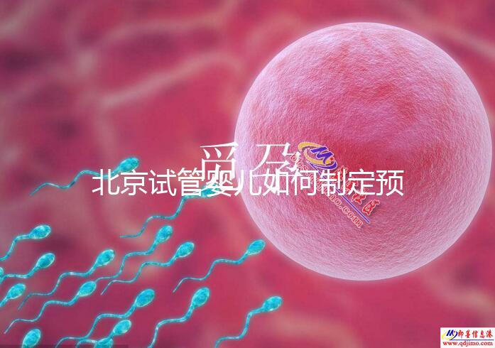 北京試管嬰兒如何制定預(yù)算，費(fèi)用解析必看