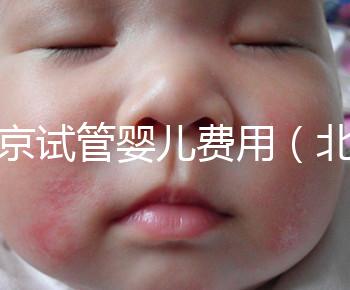 北京試管嬰兒費用（北京試管嬰兒費用大概要多少錢）
