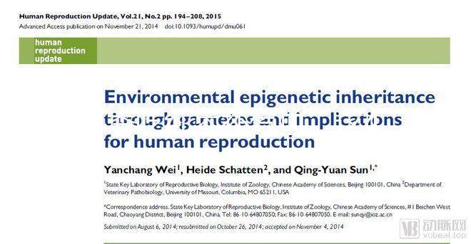 冬季吃紅棗補氣血，這4大禁忌孕婦千萬別犯