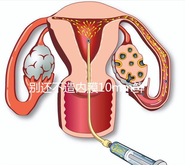 別還不造內(nèi)膜10mm鮮胚容不容易著床，能否移植看這幾點