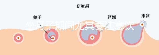 坐月子期間尤其要注意飲食，禁止吃的12種蔬菜有這些