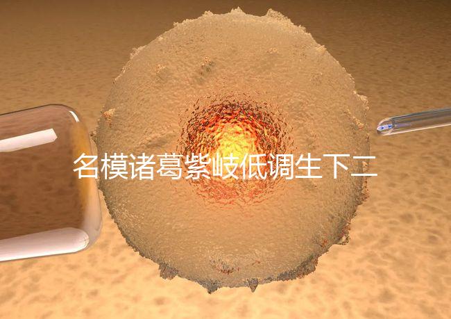 名模諸葛紫岐低調(diào)生下二胎,孕7個月肚子扁平成焦點