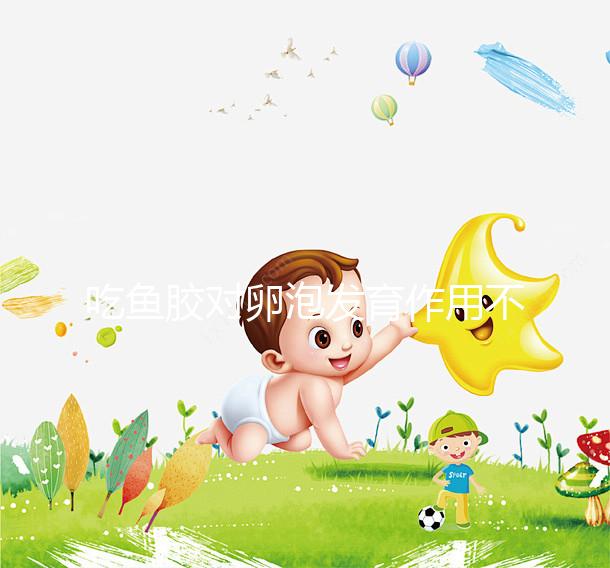 吃魚膠對卵泡發(fā)育作用不少，常食用還真能讓卵巢變好