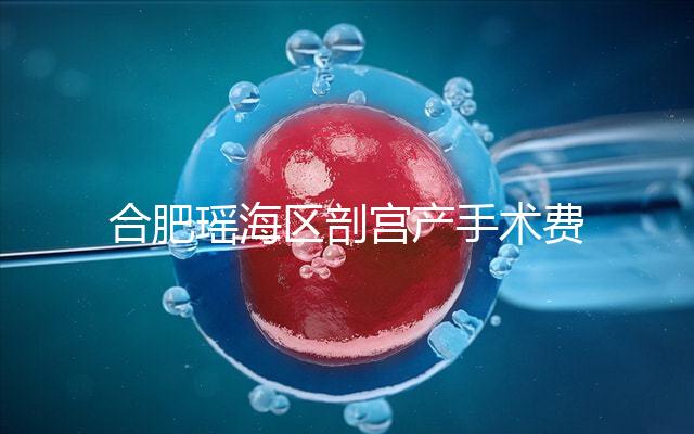 合肥瑤海區(qū)剖宮產(chǎn)手術(shù)費(fèi)不便宜！生育保險報銷多少2024有變