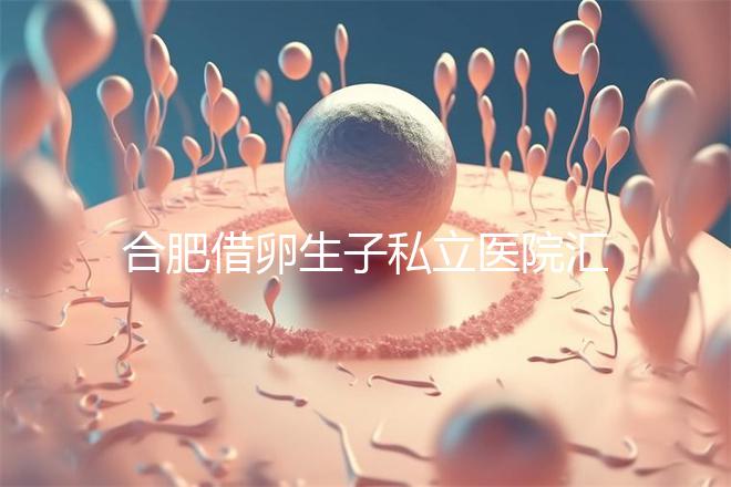 合肥借卵生子私立醫院匯總，2024哪家排名好一覽了然