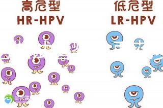 合肥做試管嬰兒要花多少錢(qián)？進(jìn)周期前這些注意事項(xiàng)都來(lái)看看