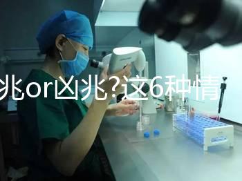 吉兆o(hù)r兇兆?這6種情形下的孕婦夢(mèng)見(jiàn)黃鼠狼寓意各不同