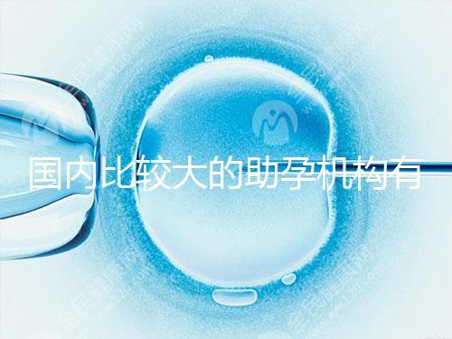 國(guó)內(nèi)比較大的助孕機(jī)構(gòu)有哪些?盤點(diǎn)2024中國(guó)正規(guī)助孕機(jī)構(gòu)名單