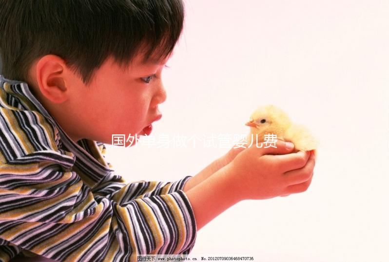 國外單身做個試管嬰兒費用大概要多少？