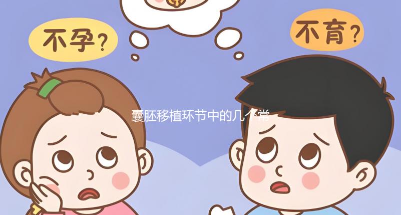 囊胚移植環節中的幾個常見問題解析