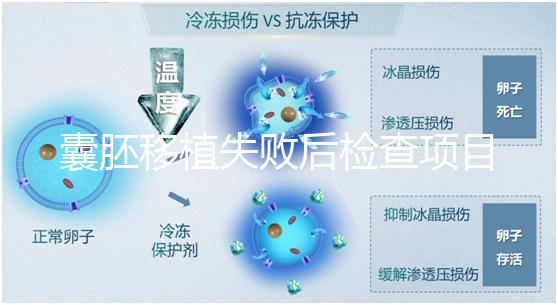 囊胚移植失敗后檢查項(xiàng)目，查免疫、內(nèi)分泌必不可少