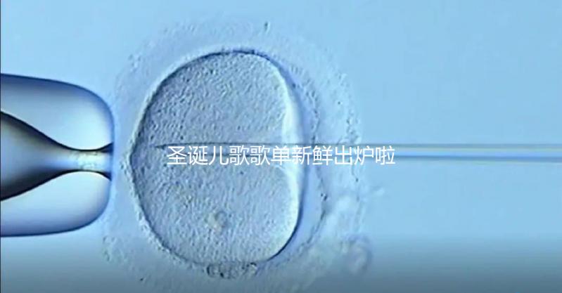 圣誕兒歌歌單新鮮出爐啦～