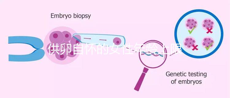 供卵自懷的女性年齡上限多大速覽，高齡警惕這些影響