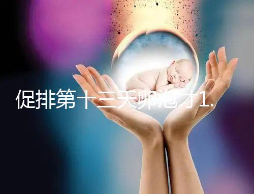 促排第十三天卵泡才1.0×9還有機會！雌二醇正常就行