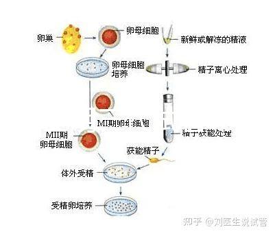 云南昆明三代試管助孕費用貴不貴呢？三代試管懷孕費用參考表！