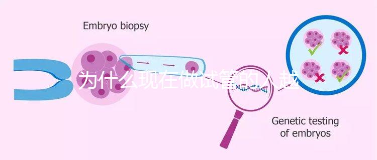 為什么現(xiàn)在做試管的人越來越多?解析背后的原因與趨勢!