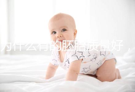 為什么有的胚胎質(zhì)量好，有的質(zhì)量差？