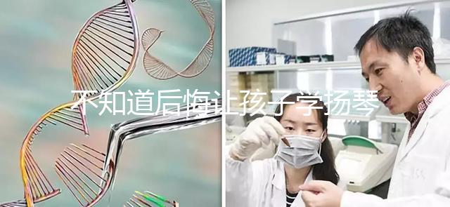 不知道后悔讓孩子學揚琴怎么辦看這，年齡是決定因素